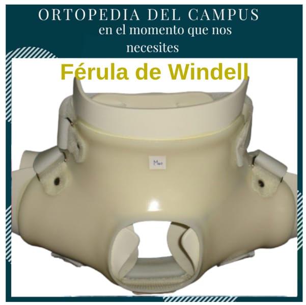 Férula de Windell
